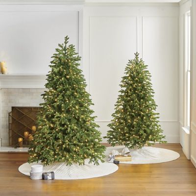 Rocky Mountain Noble Pine Full Profile Quick-Light Tree with Warm