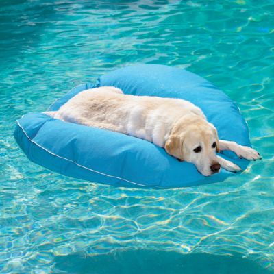 Dog Pool Float porthole Inflatable Dog