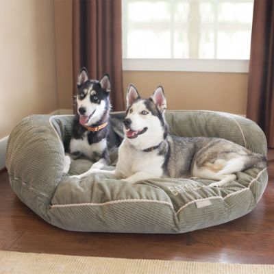 frontgate dog beds