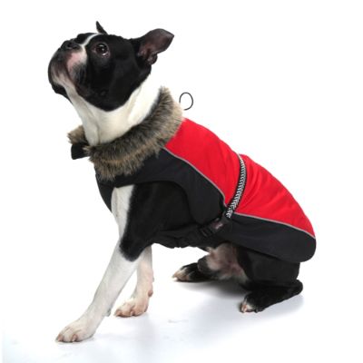 Aspen Dog Parka | Frontgate