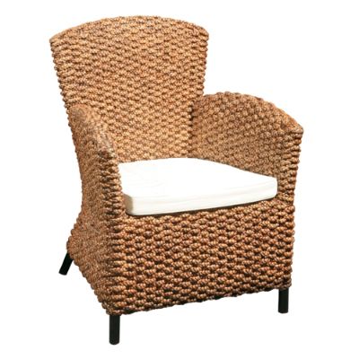 Coral Island Chair | Frontgate