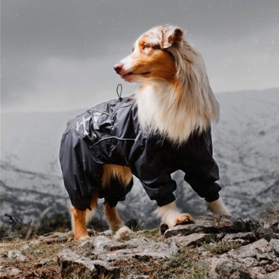 Outdoor Dog Overalls Frontgate