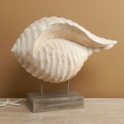 Otago Large Shell | Frontgate