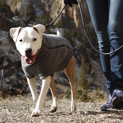 Ruffwear Climate Changer Fleece Dog Jacket Frontgate