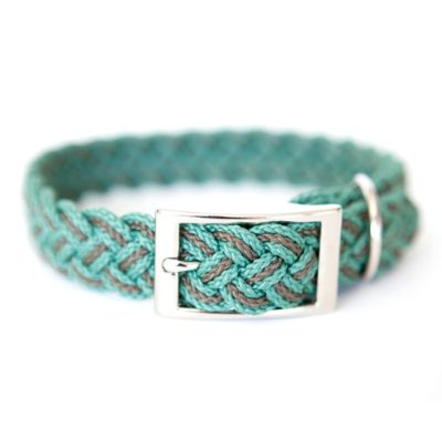 Braided Dog Collar Frontgate