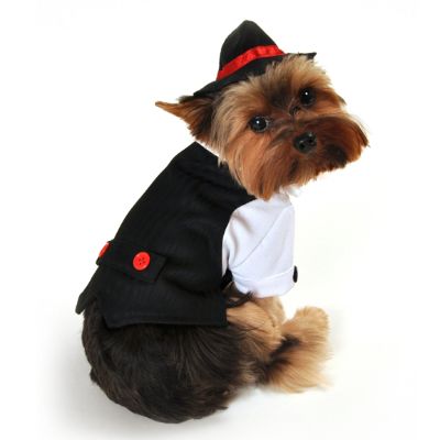 Gangster Dog Costume Frontgate