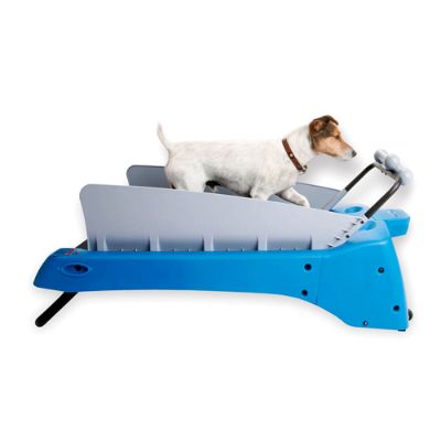 Blue Dog Treadmill for Small Dogs Frontgate