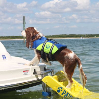 Doggy Boat Ladder Frontgate