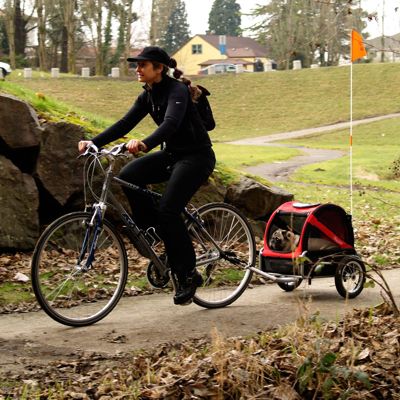 DoggyRide Mini Bike Trailer Frontgate