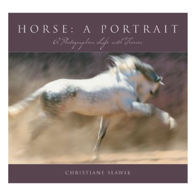 Horse A Portrait Book Frontgate
