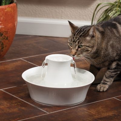 Avalon Ceramic Pet Fountain Frontgate