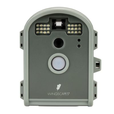 Pro Bird Camera Frontgate