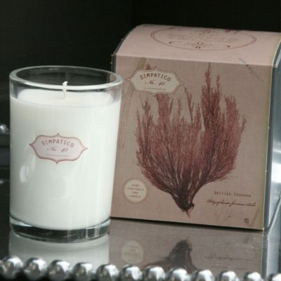 Simpatico Coral Boxed Candle | Frontgate