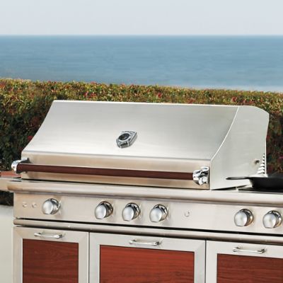 Flame pro grill hotsell