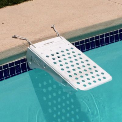 Swimming Pool Pet Ramp Frontgate