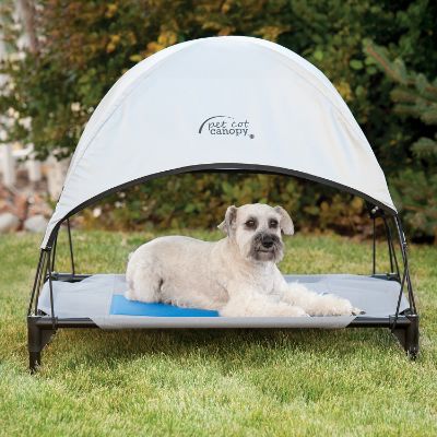 Cool Pet Cot Canopy Frontgate