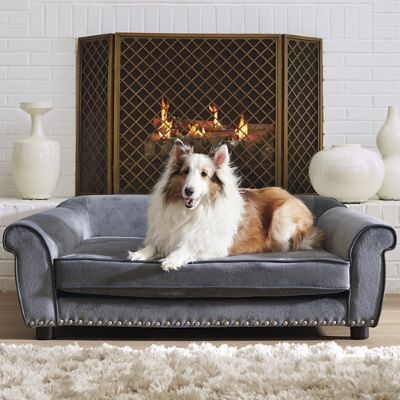 Velvet Lounge Pet Bed | Frontgate