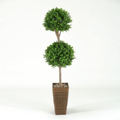 Double Boxwood Topiary | Frontgate