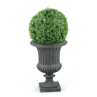 Boxwood Ball in Black Urn Frontgate