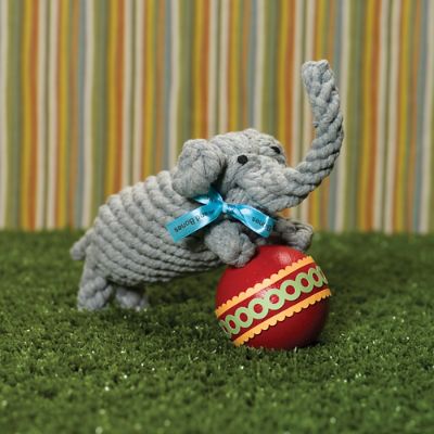coco dog toy
