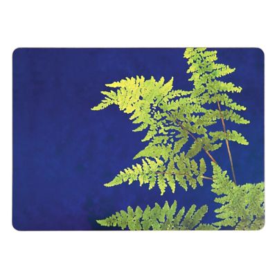 Set of Four Lady Fern Placemats Frontgate