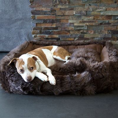 Animals matter dog outlet bed