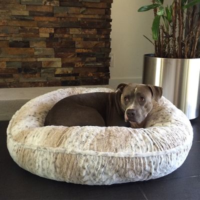 Frontgate dog beds sale