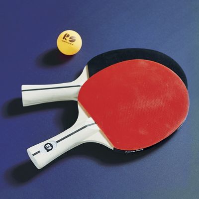 You Me Indoor Outdoor Table Tennis