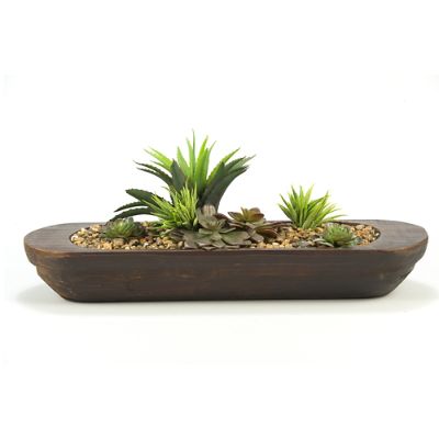 Succulents in Oval Planter | Frontgate