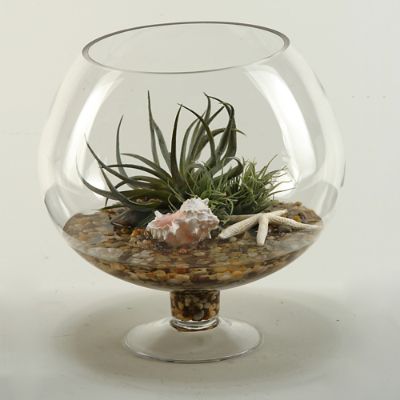 Easter Grass and Shells in Glass Vase | Frontgate