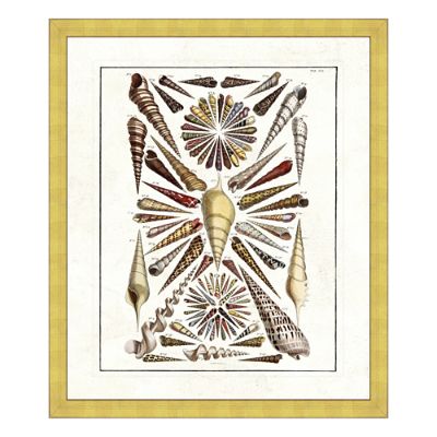 Natural Treasures I Print from the New York Botanical Garden Archives