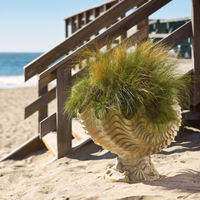 Clam Shell Planter Frontgate
