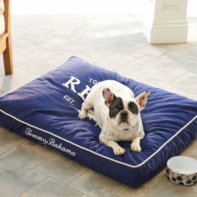 Tommy bahama 2025 dog bed