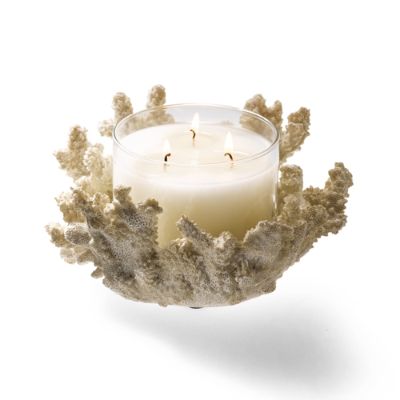 Coral Candle Holder Frontgate