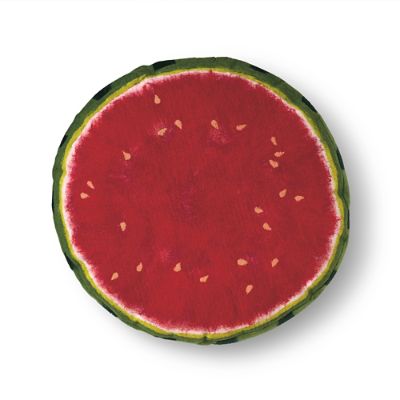 Margaritaville Tropical Watermelon Throw Pillow Frontgate