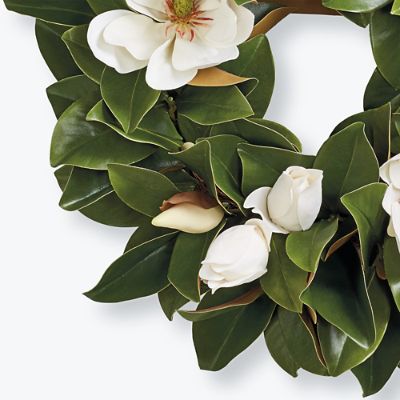 Daisy Wreath - Magnolia