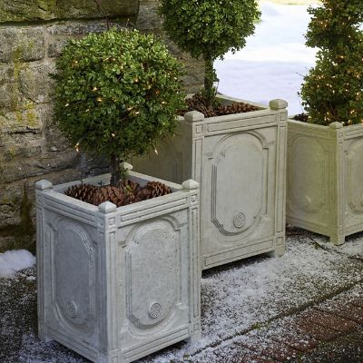 36 Boxwood Single Ball Topiary Frontgate