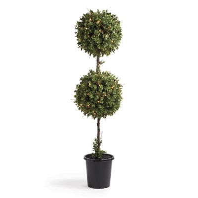 5' Boxwood Double Ball Topiary | Frontgate