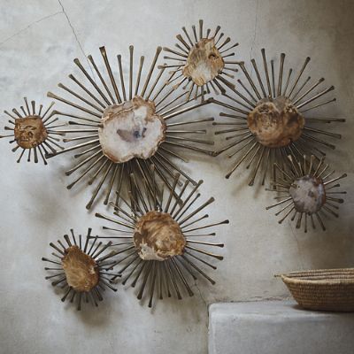 Petrified Wood Wall Art Frontgate