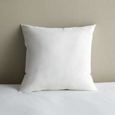 Cheap euro pillow clearance inserts