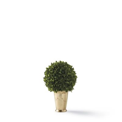 Mini Boxwood Topiaries Frontgate