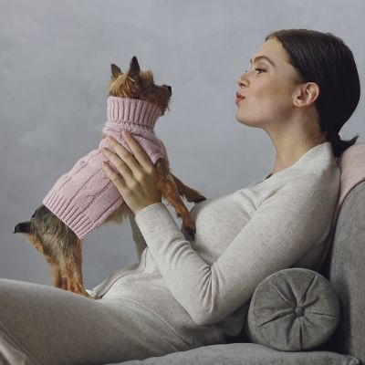 Cashmere Dog Sweater Frontgate