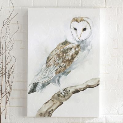 Barn Owl Wall Art | Frontgate