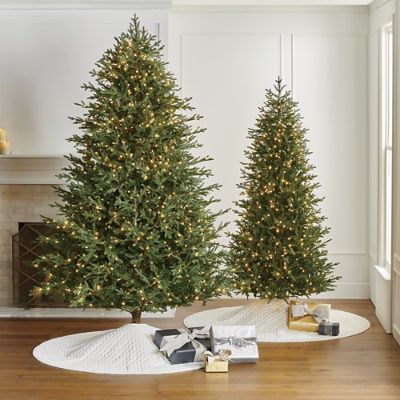 Fraser Fir Full Profile Tree | Frontgate