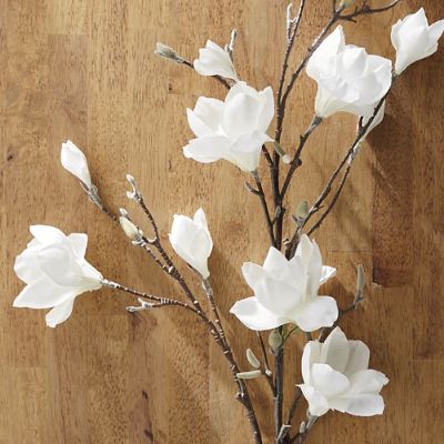 Faux Magnolia Stems, Set of Four Frontgate