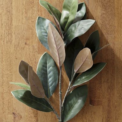 Faux Magnolia Leaf Stems, Set of Four | Frontgate