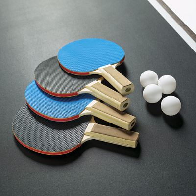 kontroversiel opskrift Serena Dax Table Tennis Accessories | Frontgate