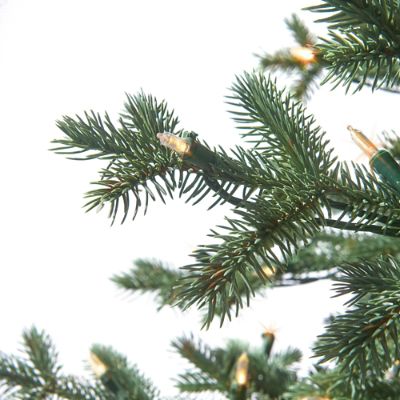 Blue Spruce Full Profile Tree | Frontgate