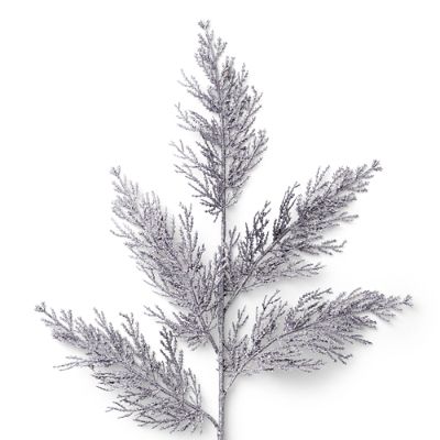 Christmas Pine Grey Stems, Set of Six | Frontgate