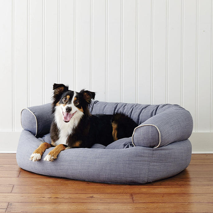 Comfy Couch Pet Bed Frontgate, American Furniture Warehouse Dog Beds